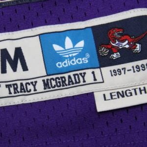Tracy McGrady Toronto Raptors adidas Hardwood Classics Swingman Jersey - Purple