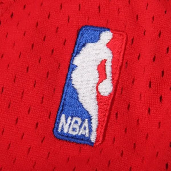 Allen Iverson Philadelphia 76ers adidas Soul Swingman Nickname Jersey - Red