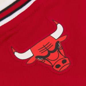 Doug McDermott Chicago Bulls adidas Swingman Jersey - Red