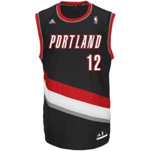 LaMarcus Aldridge Portland Trail Blazers adidas Youth Replica Road Jersey - Black