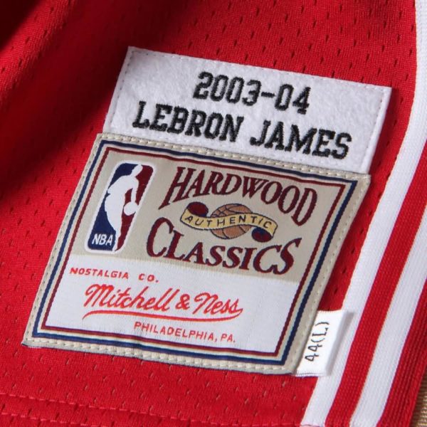 LeBron James Cleveland Cavaliers Mitchell & Ness 2003-04 Hardwood Classics Rookie Authentic Jersey - Burgundy