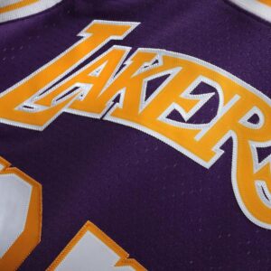 Magic Johnson Los Angeles Lakers Mitchell & Ness 1984-85 Hardwood Classics Swingman Jersey - Purple
