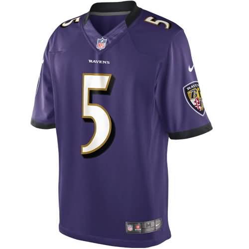Joe Flacco Baltimore Ravens Nike Youth Limited Jersey - Purple